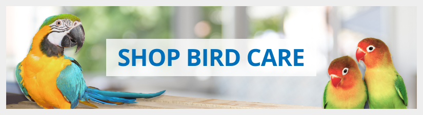 Birds Antibiotics