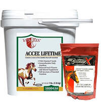 Horse Immune Supplements