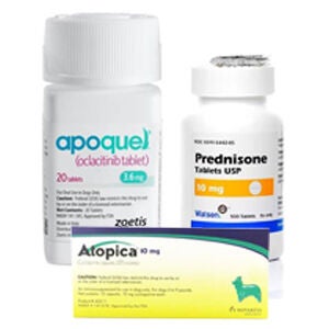 Allergy & Antihistamines