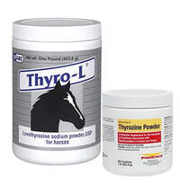 Horse Thyroid Medications