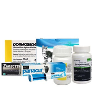 Parasite Internal & External