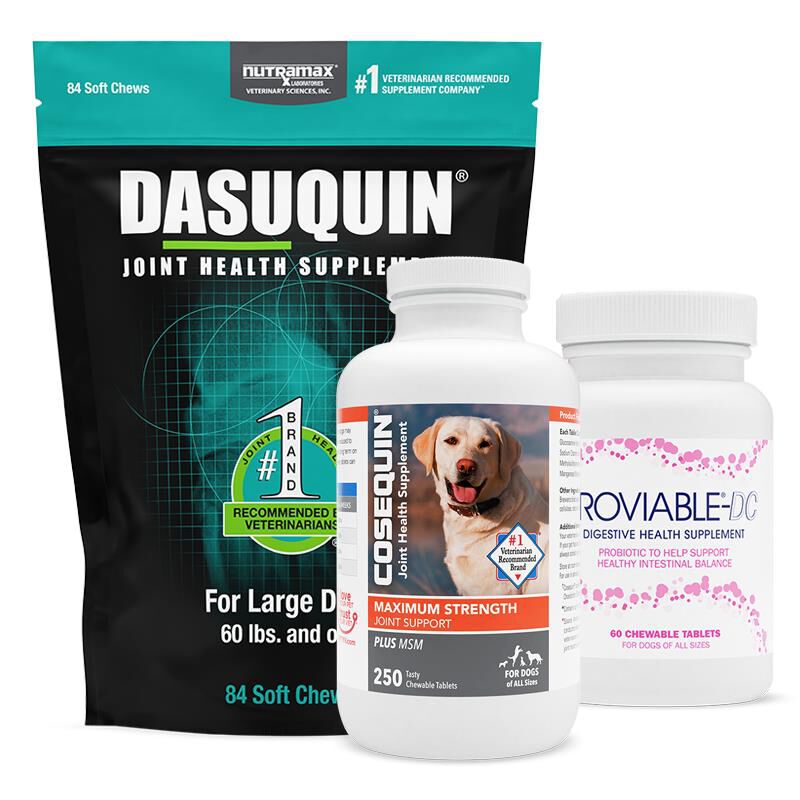 Dog Supplements