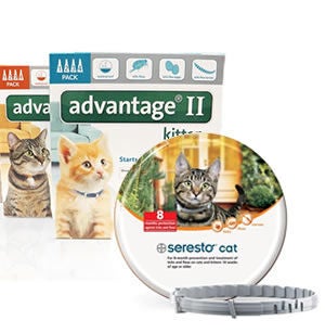 Cat Topical Spot-on Flea & Tick Control