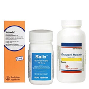 Heart & Blood Pressure