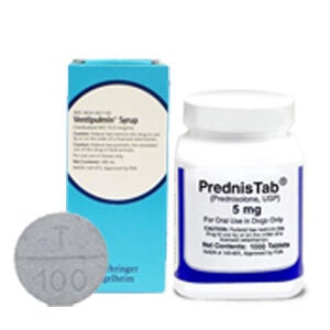 Asthma & Respiratory