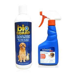 Cat Flea Shampoo