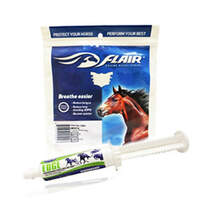 Horse Allergy Respiratory