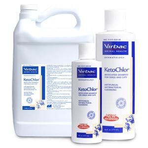 Medicated Shampoo & Spray