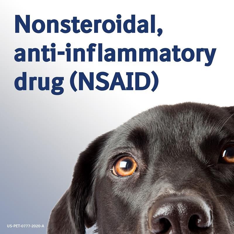 Previcox Chewable Tablets for Dogs