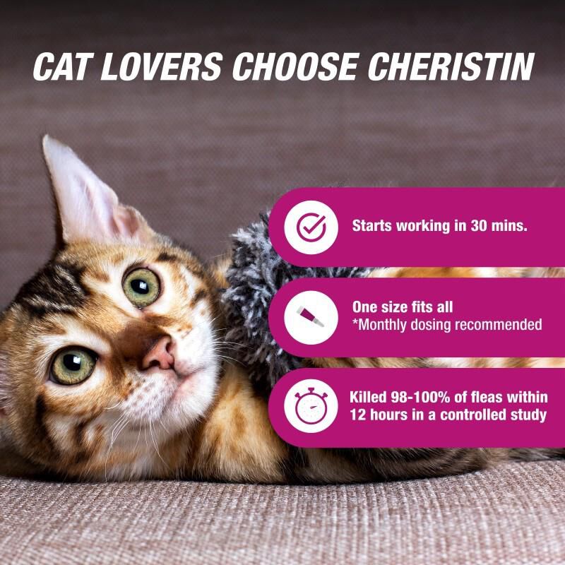 Cheristin flea treatment topical for cats over 1.8 lbs outlet