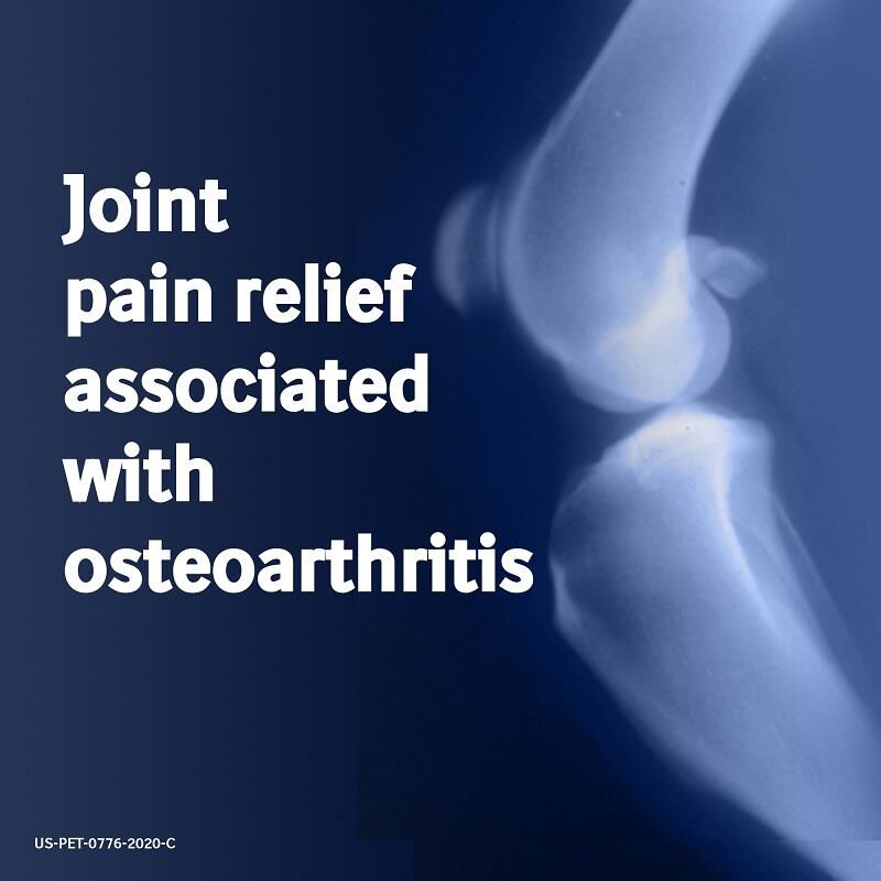 Metacam 0.5 mg/ml Oral Suspension