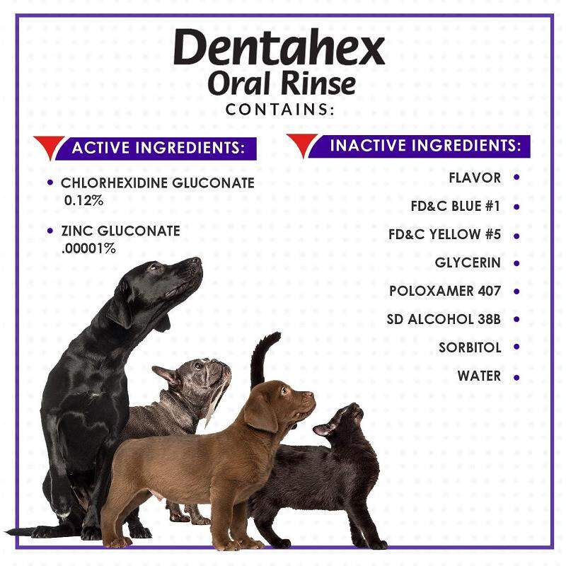 Dentahex Oral Rinse for Dogs and Cats with Chlorhexidine 0.12% and Zinc, 8 oz