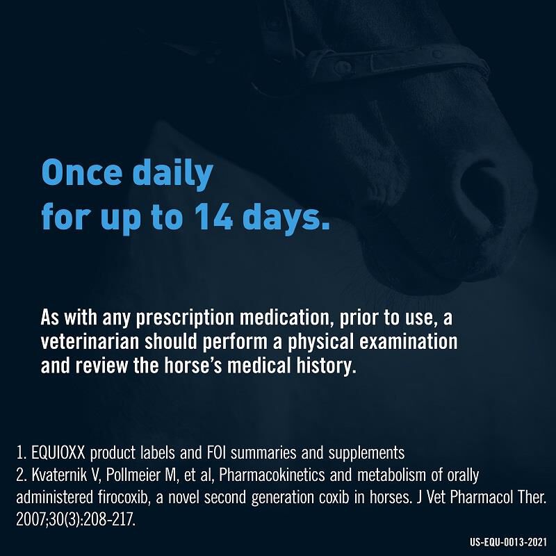 Equioxx Oral Paste