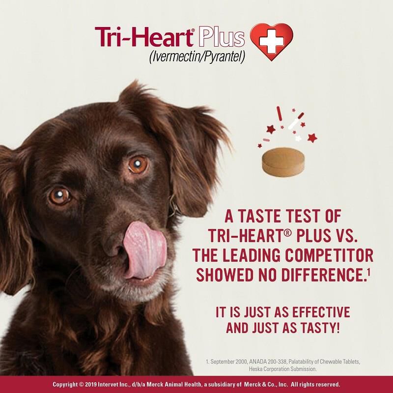 Tri heart for dogs cheap