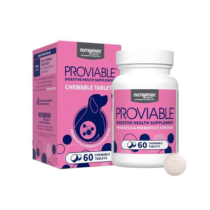 Proviable-DC Digestive Health Supplement for Dogs, 60 Chewable Tablets