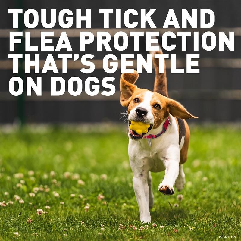 Credelio Flea Tick Chewable Tablets for Dogs Puppies Free 2 Day Shipping AKCPetRx