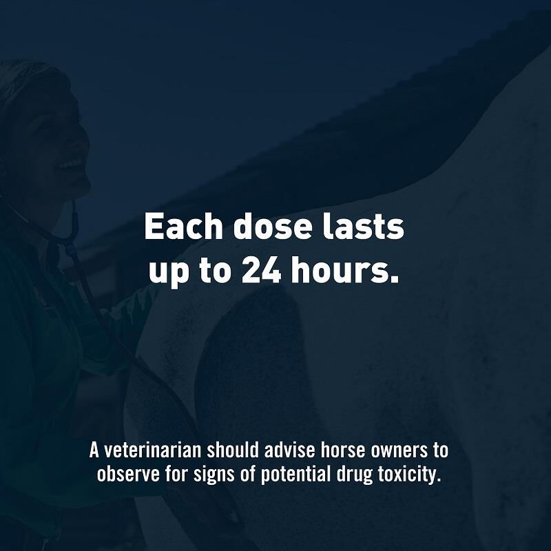 Equioxx Oral Paste