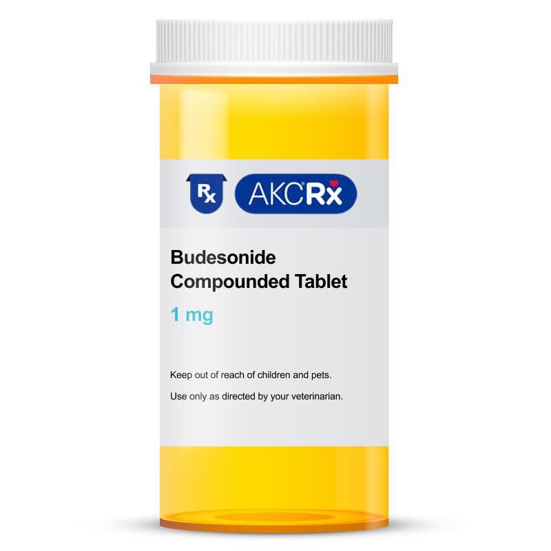 Budesonide Compounded Tiny Tablet, 1 mg