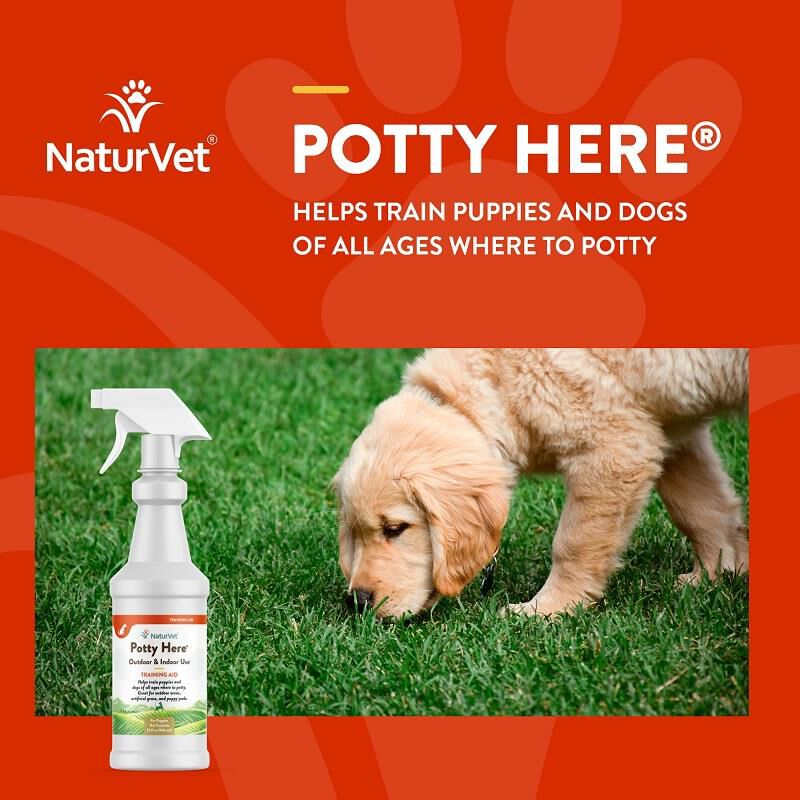 NaturVet Potty Here Training Aid Spray, 32 oz