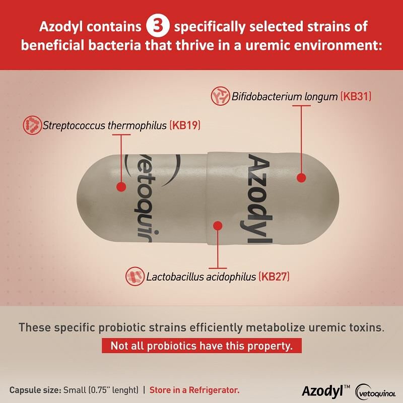 Azodyl for cats with kidney disease cheap