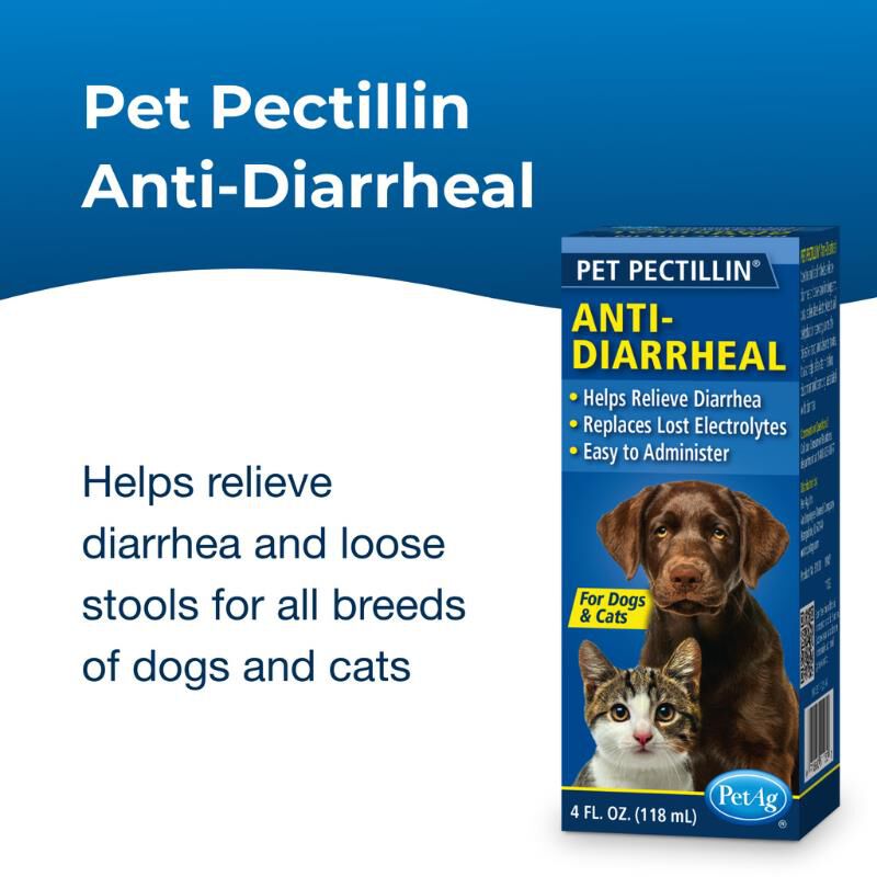 PetAG Pet Pectillin Diarrhea Medication for Dogs & Cats, 4 oz