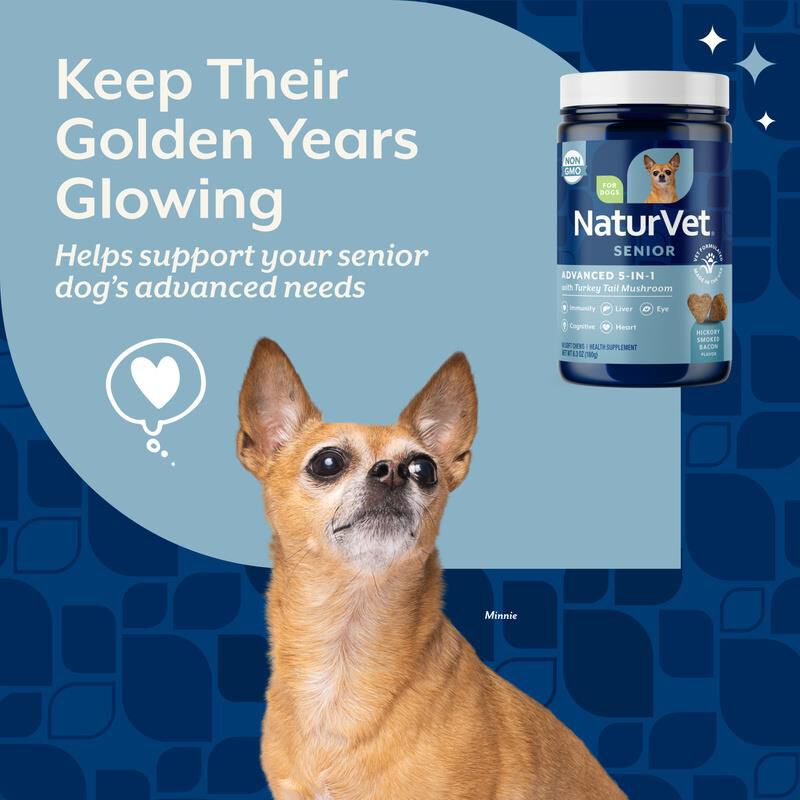 NaturVet Senior Advanced 5-in-1 Support Soft Chews for Dogs