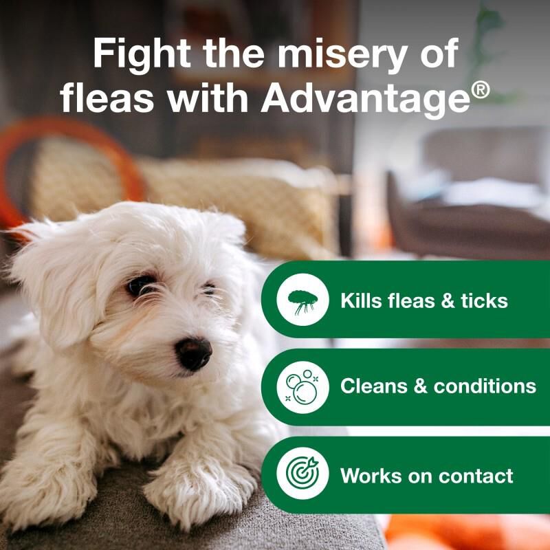Advantage Treatment Shampoo for Dogs and Puppies, 24 oz