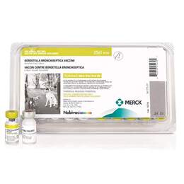Merck Animal Health Nobivac Canine Intra-Trac Oral Bb Vaccine for Dogs, 25-dosage tray