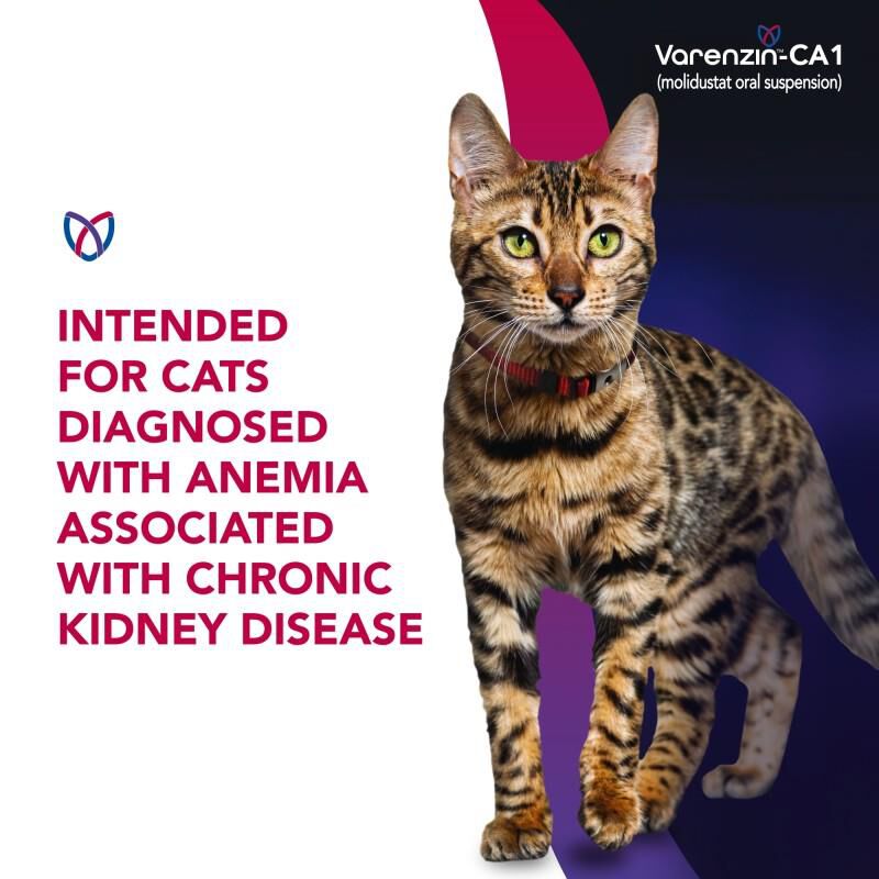 Varenzin-CA1 (Molidustat Oral Suspension), 27 ml