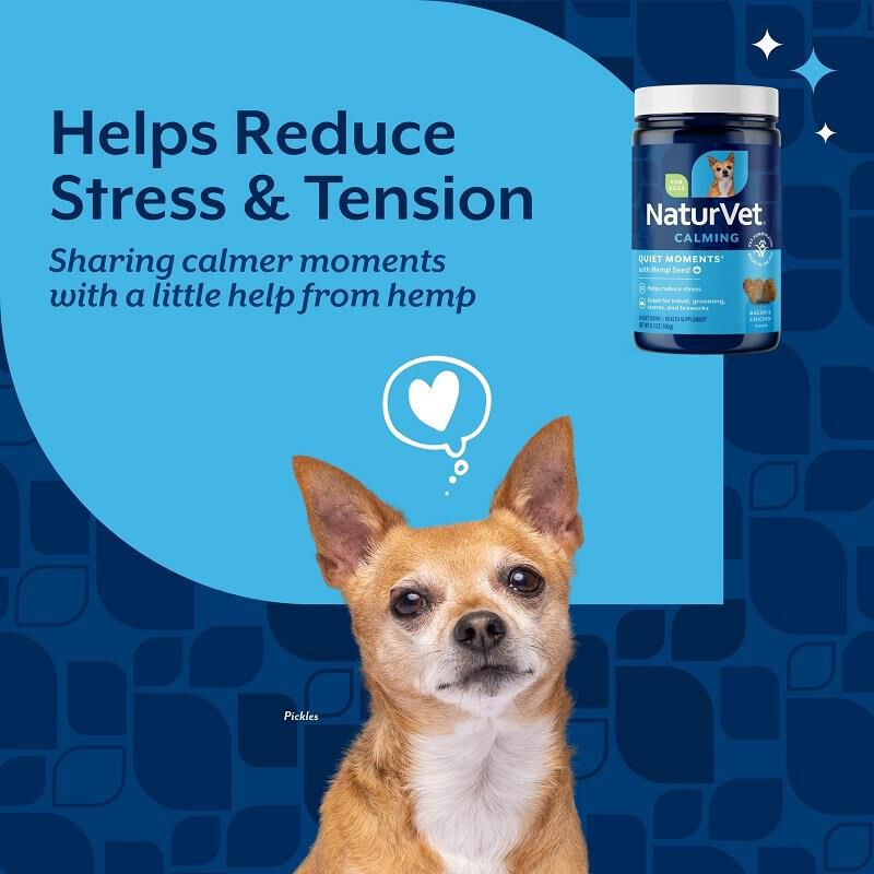 NaturVet Hemp Quiet Moments Plus Hemp Seed Soft Chews for Dogs