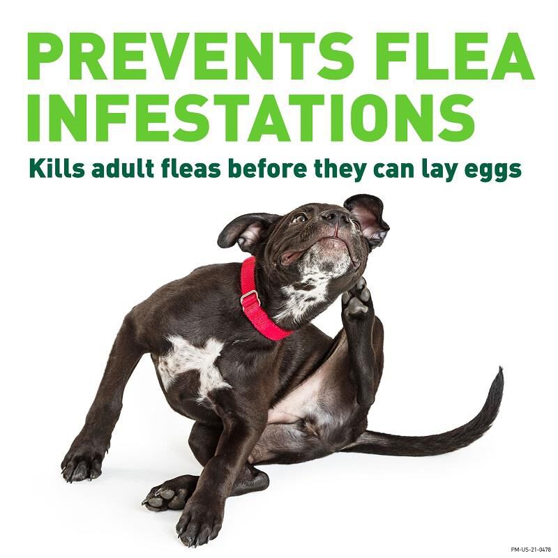 Credelio flea medicine online