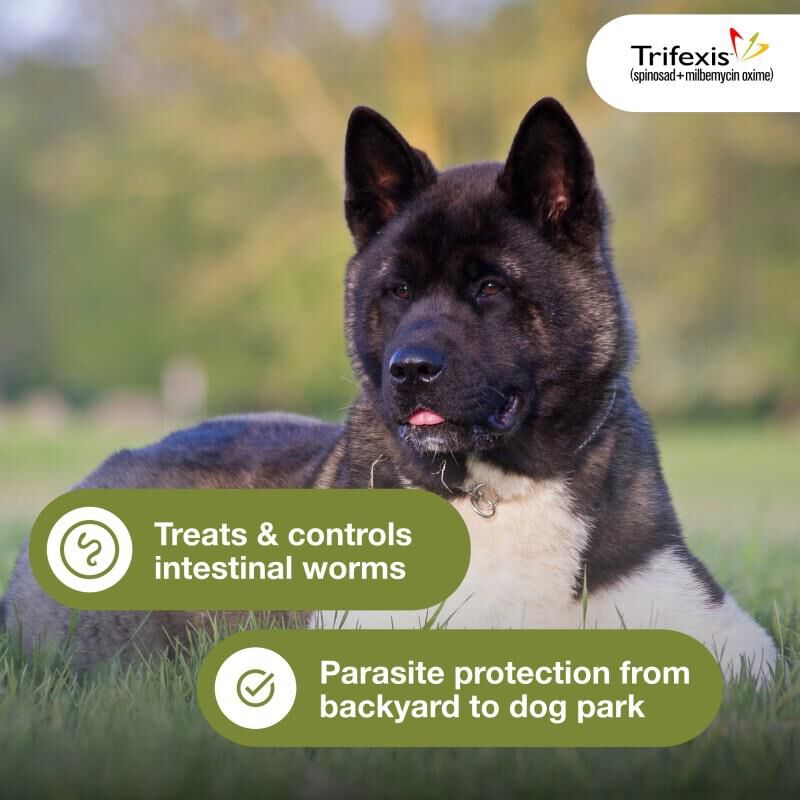 Trifexis Chewable Tablets for Dogs 20.1-40 lbs Green, 12 Month Supply