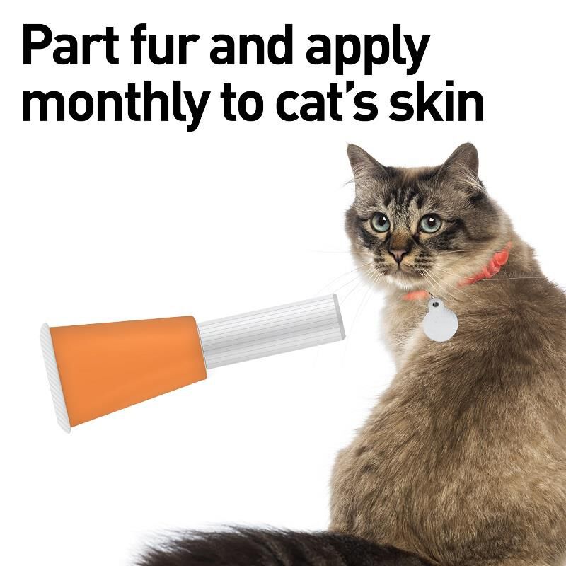 Advantage Multi for Cats