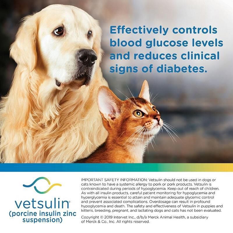 Vetsulin Insulin for Dogs and Cats 10 ml Vial