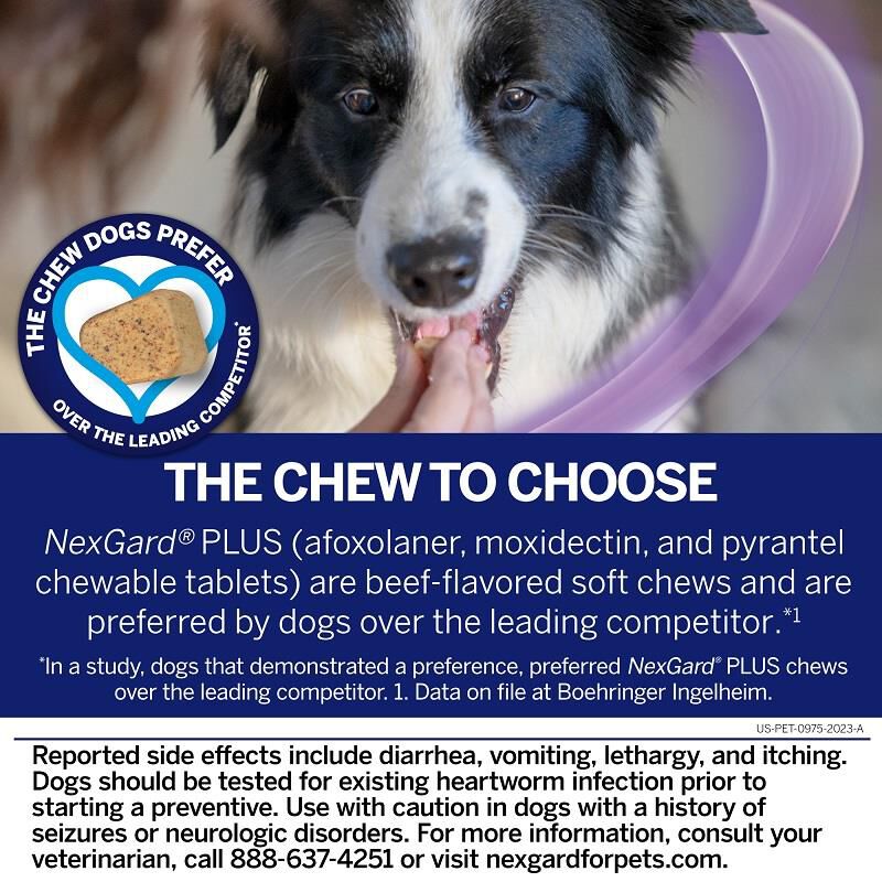 Nexgard blue for dogs 2025