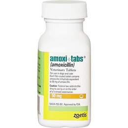 Amoxi-Tabs (Amoxicillin) for Dogs & Cats