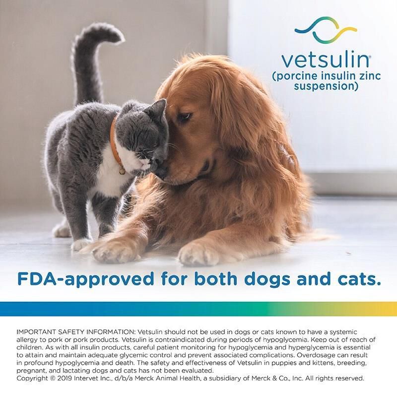 Vetsulin Insulin for Dogs and Cats 10 ml Vial