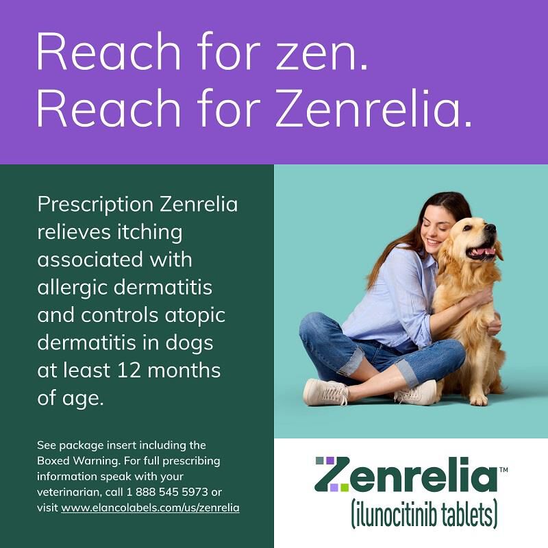 Zenrelia (ilunocitinib) Tablets for Dogs, 15 mg 30 ct