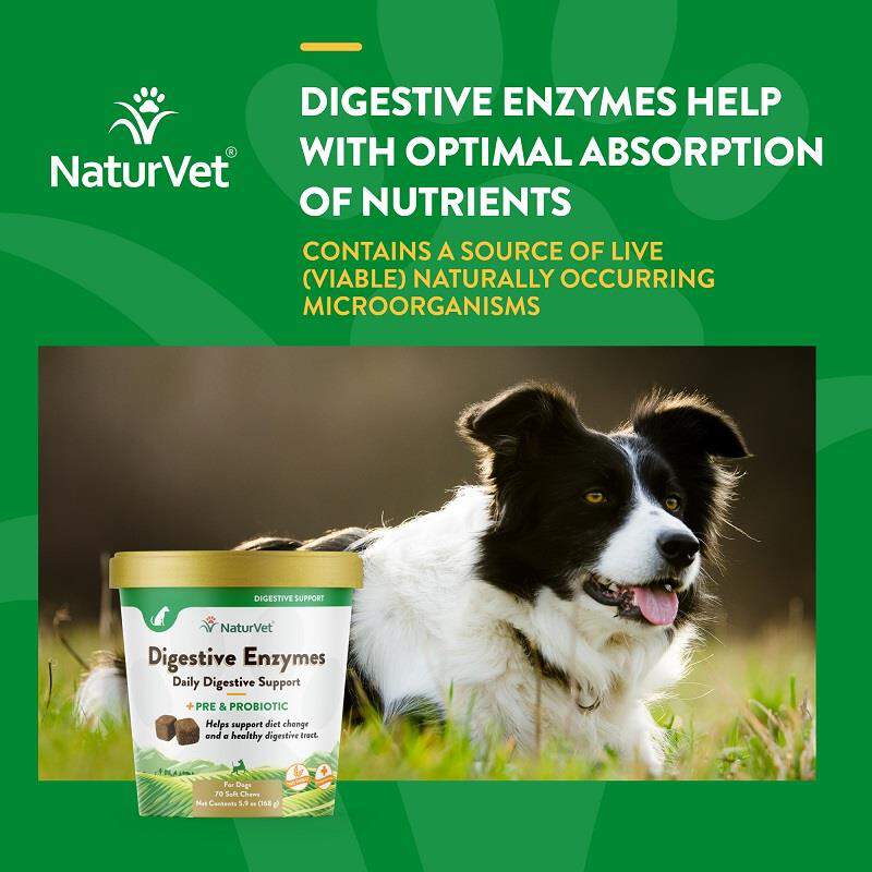 NaturVet Digestive Enzymes Plus Probiotic Soft Chews for Dogs