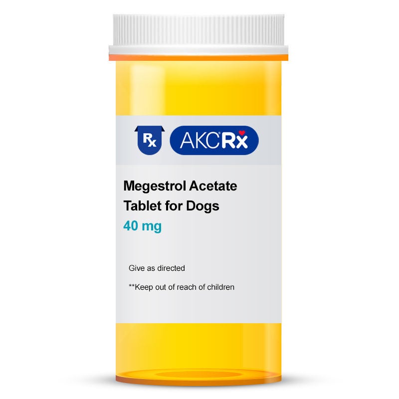 Megestrol Acetate Tablet, 40 mg