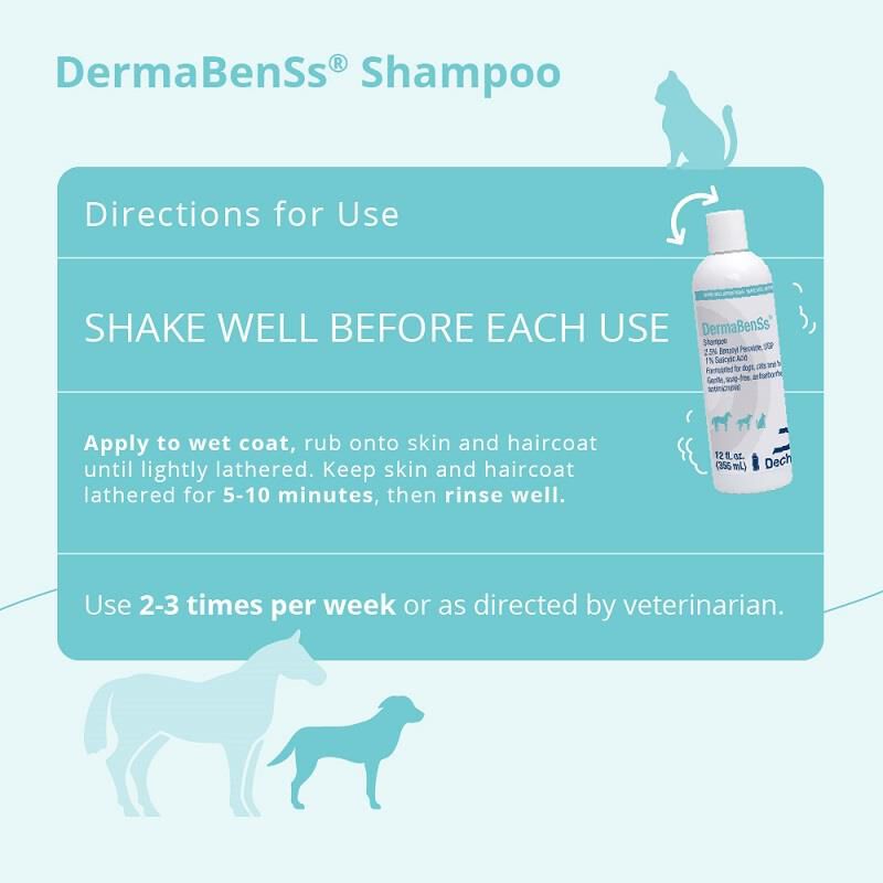 DermaBenSs Shampoo