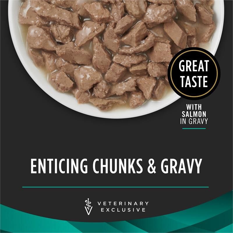 Purina Pro Plan Veterinary Diets EN Gastroenteric Savory Selects with Salmon in Sauce Wet Cat Food, 24 x 5.5 oz cans
