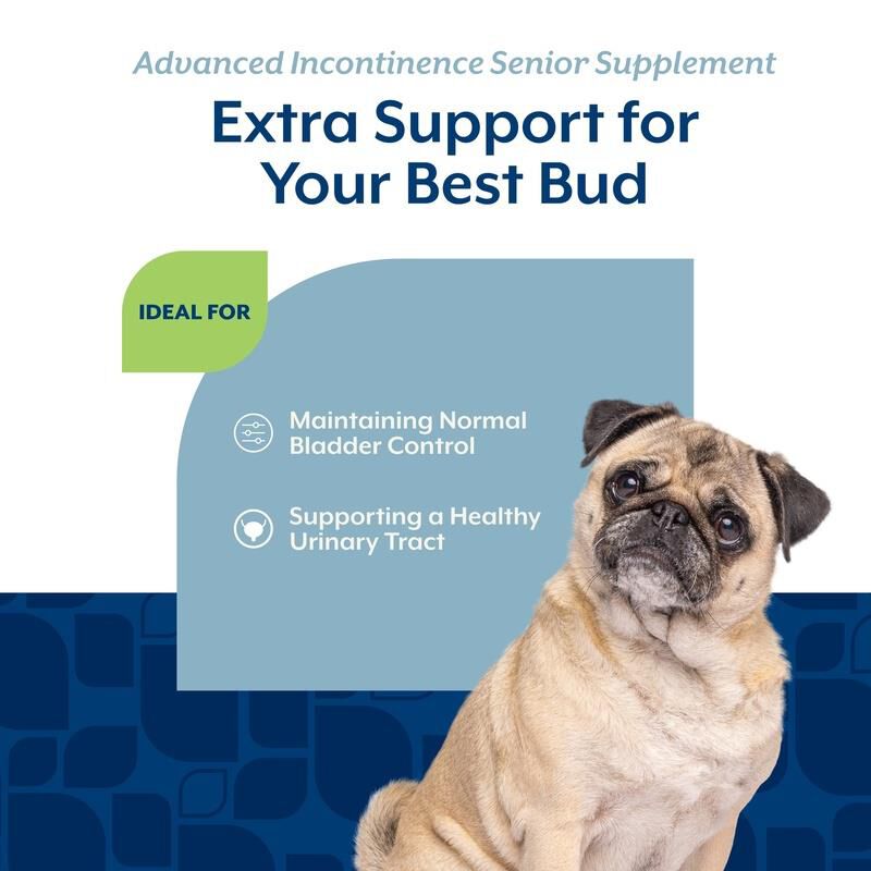 NaturVet Senior Advanced Incontinence Soft Chews Supplement for Dogs 60 Ct.