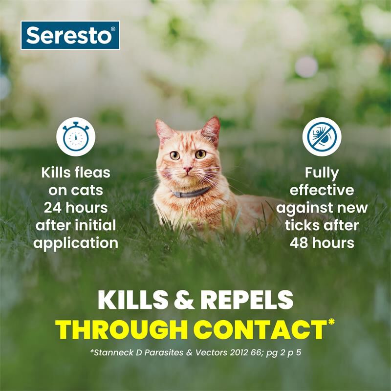 Seresto for Cats with Fleas and Ticks