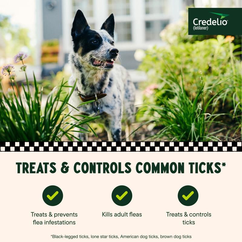 Credelio Flea & Tick Chewable Tablets for Dogs & Puppies 25.1-50 lbs (450 mg) Green 6 Month Supply