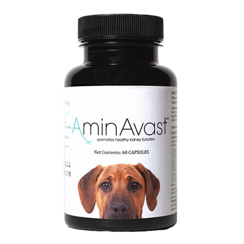 AminAvast Kidney Support for Dogs and Cats, 60 Capsules | Free 2