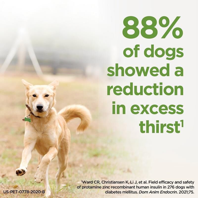 Boehringer Ingelheim ProZinc Cat Insulin for Cats with Diabetes