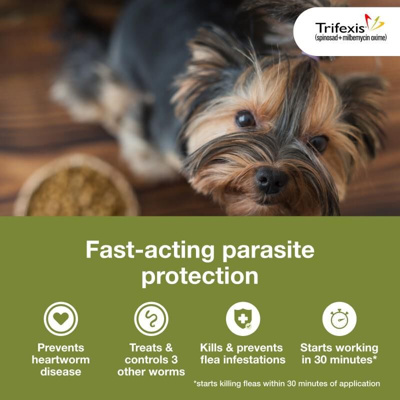 Comfortis plus trifexis for dogs shop
