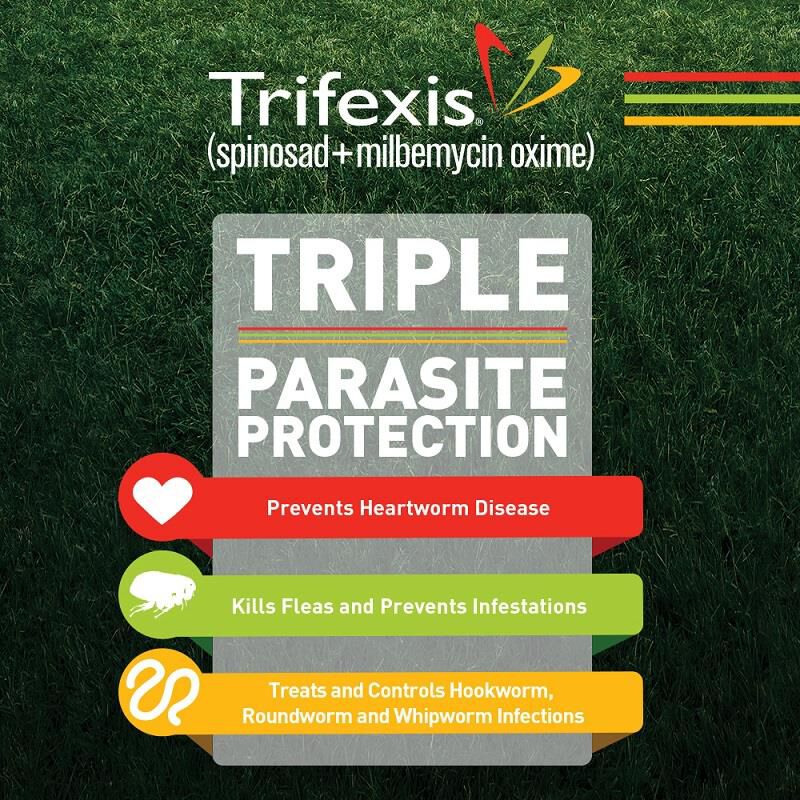 Trifexis Chewable Tablets for Dogs 20.1-40 lbs Green, 6 Month Supply