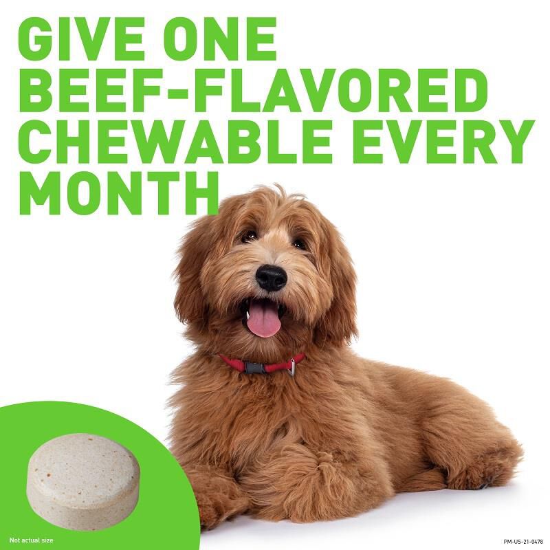 Credelio flea treatment for dogs cheap
